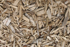biomass boilers Garboldisham